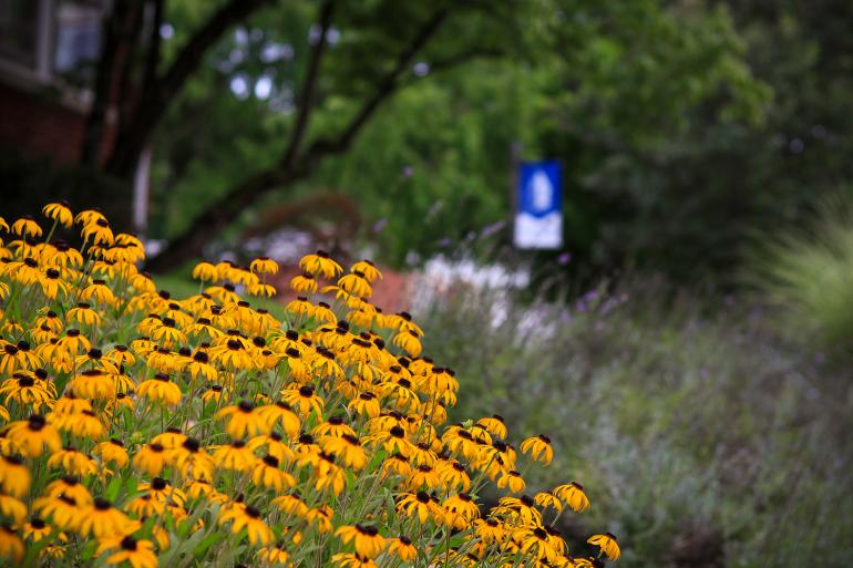 Applications are now being accepted for the Women’s Leadership Circle Scholarship. (GSC Photo/Kristen Cosner)